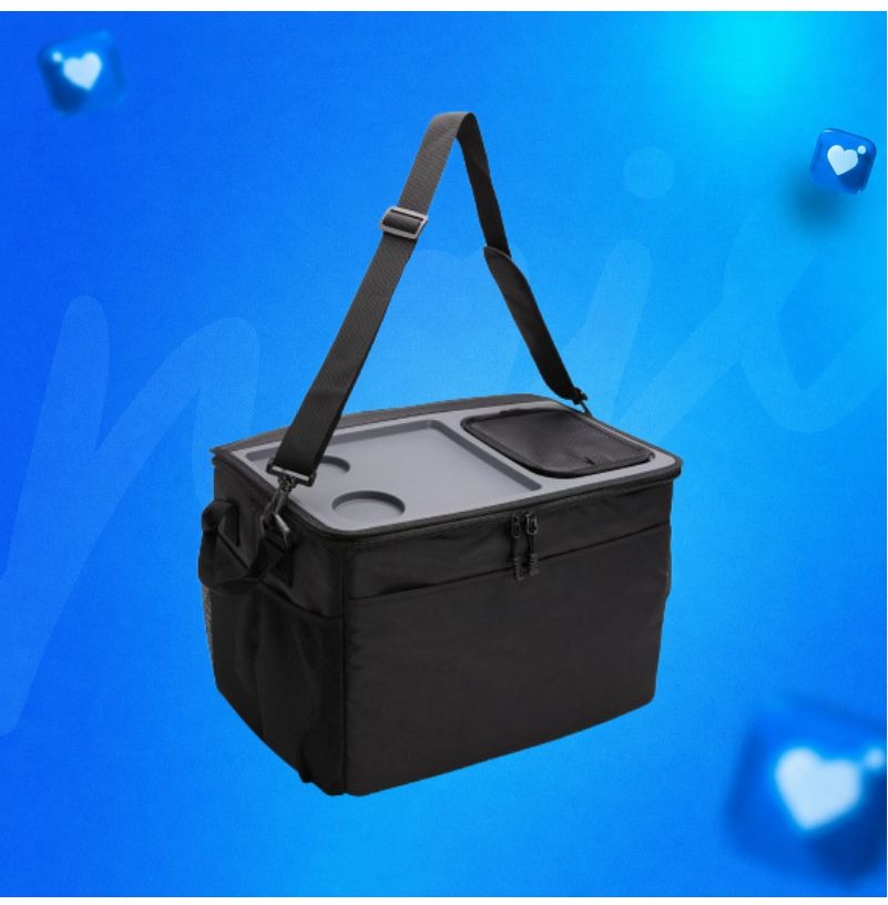 09150 Bolsa Térmica 33 Litros